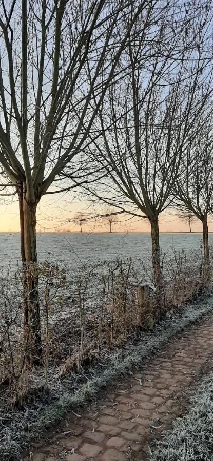 B & B Victors Hof, Met Zwemvijver In Landelijke Setting Lievegem Exterior photo
